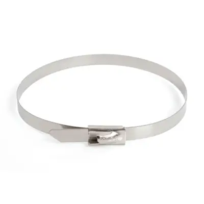 Read more on Termtech TTSS200 | 200mm x 4.6mm Ball Lock Cable Tie, Stainless Steel (Pack of 100)