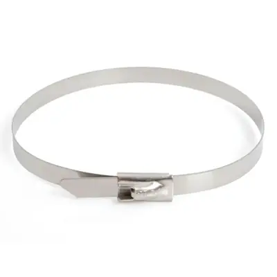 Read more on Termtech TTSS360-4.6 | 360x4.6mm Ball Lock Cable Ties, Stainless Steel (Pack of 100)