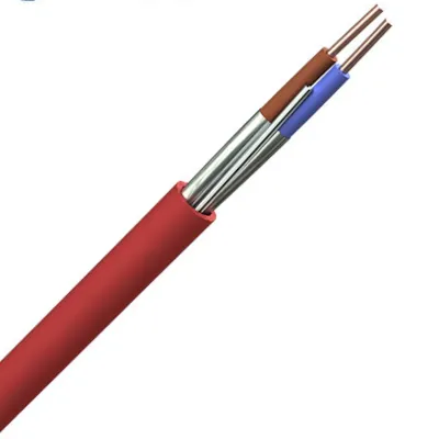 Read more on Securi-Flex SFX/FC-2C-2.5-FT30-STD-RED-100 | Fire Rated Cable Draka FT30 2.5mm 2 Core Standard Red (100m)
