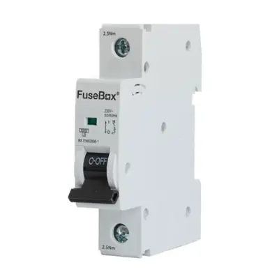 Read more on Fusebox MT06B321 | 32A 6kA Type B Single Pole MCB