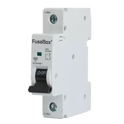 Read more on Fusebox MT06B501 | 50A 6kA Type B Single Pole MCB