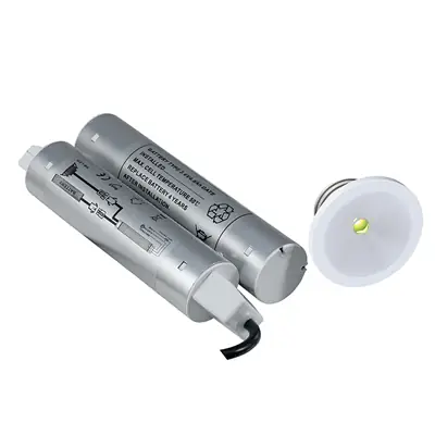 Read more on Ansell ASLED 3NM | Signal 1.5W LED Emergency Downlight Non-Maintained with Remote Driver & Battery Pack