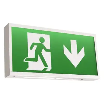 Read more on Ansell AWAT 1 | Watchman 3W 6500K LED IP20 Lithium Emergency Exit Box Maintained / Non-Maintained, White Steel