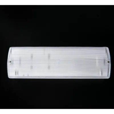 Read more on KSR KSR98125 | Navara 3.5w Emergency Exit Bulkhead Non Self Test